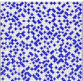 Fig .  1  ). These liquid clusters are minimalty sized and are  located  randomly inside the network