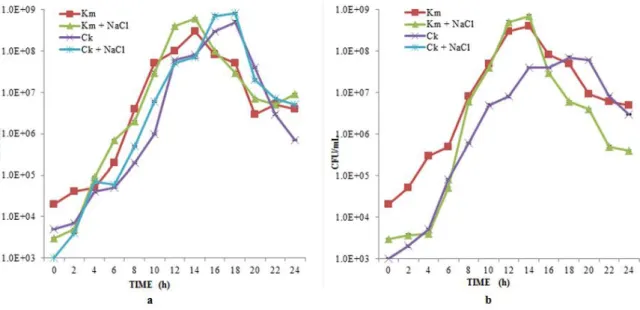 Figure 1 Impact of a)1.5 M NaCl and  b) 2.0 M on C. krusei (Ck) and K. marxinaus (Km) in YEPD medium at pH 3.5 and 40 °C (Shake  flask experiments) 