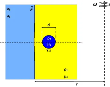 FIG. 1. Scheme of the studied three-phase system in a centrifuged cell ( ω is the angular speed): phase 1, lighter (organic) continuous phase; phase 2, droplet (aqueous); and phase 3, heavier (aqueous) continuous phase.