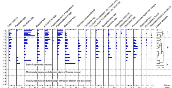 Figure 6. Summary biostratigraphy of diatom taxa in core Ni5-8 expressed as relative abundances (%)