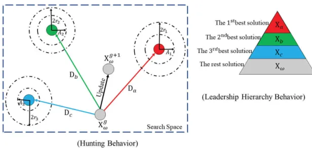 Figure 10: Schematic representation of Grey Wolf Optimizer behaviors and solution updating
