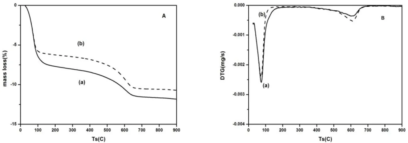 Figure 2. TG (A) and DTG (B) curves of raw bentonite (a) and bentonite-Na (b) in air at 10 ºC/min