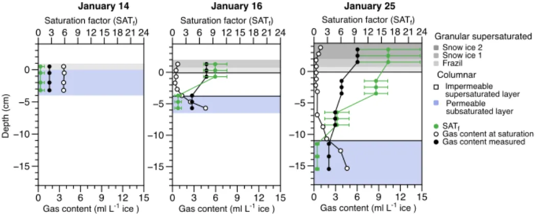 Figure 6. Profiles of the total gas content in bulk sea ice measured by gas chromatography as the sum of O 2 , N 2 and Ar (black symbols) com-