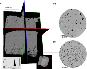 Figure 1. (a) 3-D orthoslice view from raw images of 16 Jan- Jan-uary, consisting of two longitudinal slices and one transversal slice, lighter grey represent the ice matrices and black area represent the air inclusions (i.e., bubbles); (b) top transversal