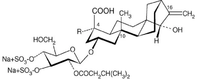 Fig. 3: Toxic compounds from Atractylis gummifera  (Danieli et al., 1971) 