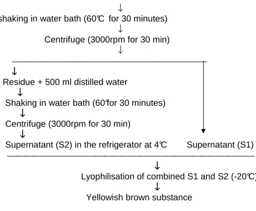 Fig. 7: Steps of the plant  material  extraction of Atractylis gummifera L. ( Bey, 1990)  after sleight modification
