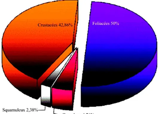 Figure 18 : Proportion des types physionomiques de thalles lichéniques. 