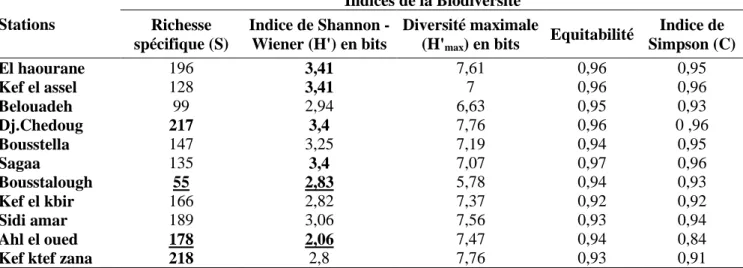 Tableau 11 : Résultats quantitatifs de la diversité floristique de chaque station. 