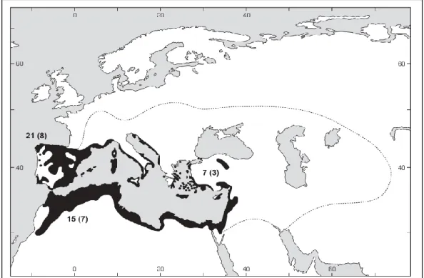 Figure 3 :  Répartition géographique de Thymelaea. La ligne pointillée indique la limite approximative  des espèces annuelles T