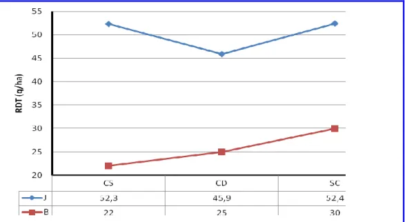 Fig. 3. Variation du nombre d'épis/m² et du nombre de grain /épi mesurés sur Waha conduite              sur précédent cultural blé (B) ou jachère (J), travaillé avec scarificateur (SC), charrues              à disques (CD) ou à socs  (CS).