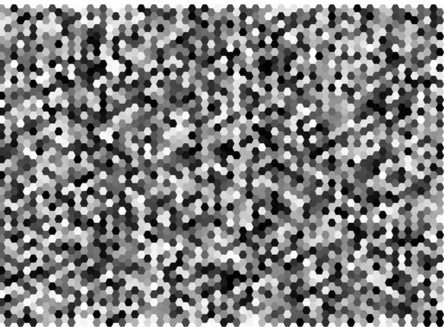 Figure 26. Surface numérique divisée en cellules hexagonales, les niveaux de gris représentent des 
