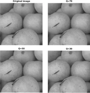 Figure 2.7: JPEG compression for 3 quality values. The compression artifact is not noticeable only at high compression ratio (q=30)