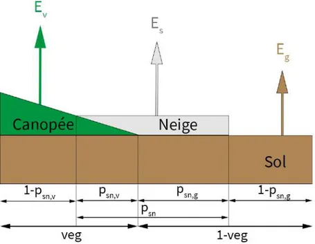 Figure 2.4 – Représentation sous-maille de la surface dans ISBA suivant la canopée, le sol et le manteau neigeux.