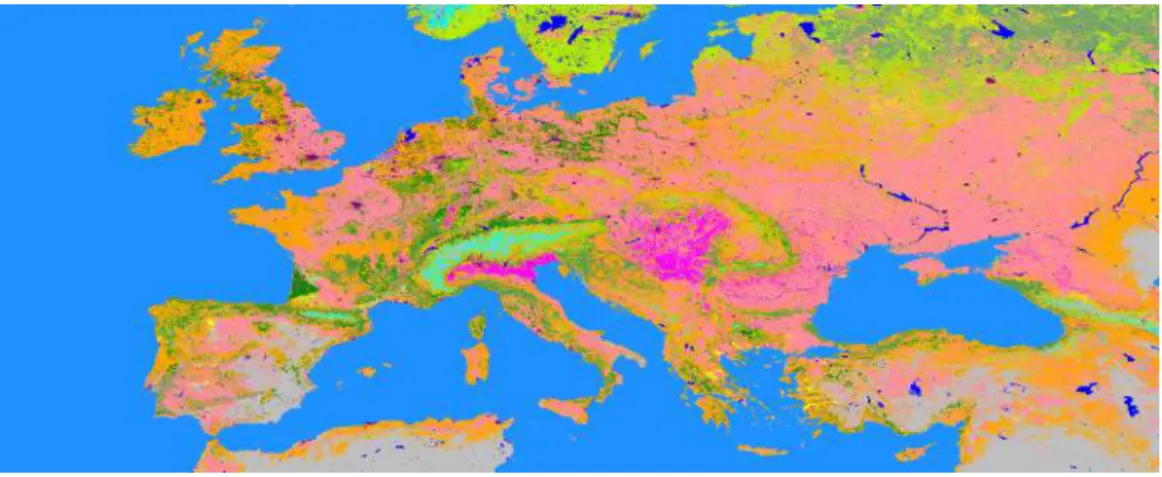 Tableau 2.1 – Présentation des 19 types de végétation d’ECOCLIMAP-II.