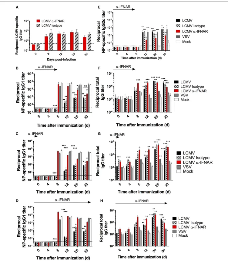 FigUre 5 | iFnar blockade restores nP-specific igg1 responses during lcMV infection. B6 mice (four per group) were treated with  α-IFNAR Ab (red),  isotype control Ab (hatched), or left untreated (black) and were infected the next day with LCMV Cl13, VSV (