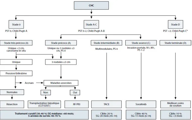 Figure 6.   Classification Barcelona Clinic Liver Cancer : stades et traitement  (Forner et al., 2014)