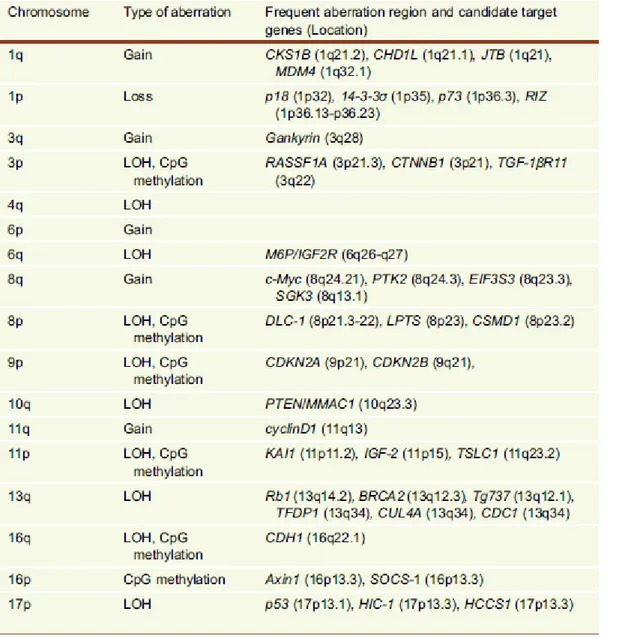 Tableau 1 :  Récapitulatif des aberrations chromosomiques et des gènes cibles dans le                      CHC  (adapté de Liu et al., 2014)