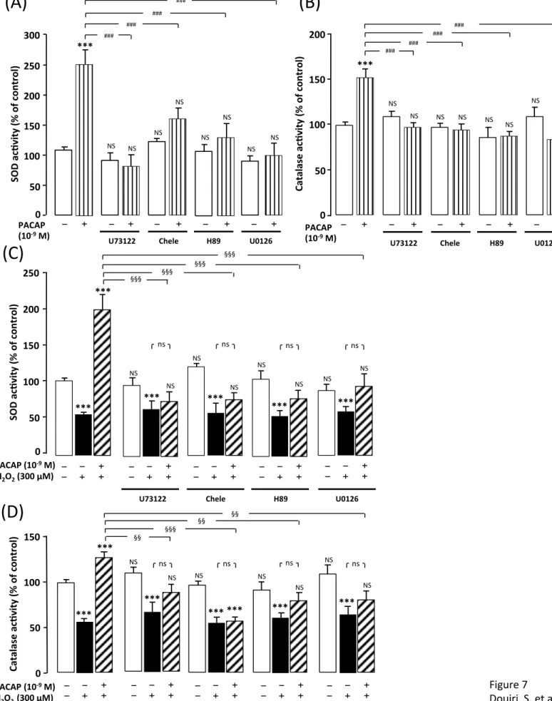 Figure	7	 Douiri		S.	et	al.	NS	0	50	100	150	200	250	300	SOD	ac[vity	(%	of	control)	***	NS	NS	NS	###	###	Chele	H89	U0126	U73122	(A)	###	###	NS	NS	NS	NS	0	50	100	150	200	Catalase	ac[vity	(%	of	control)	NS	NS	NS	NS	PACAP	(10-9	M)	