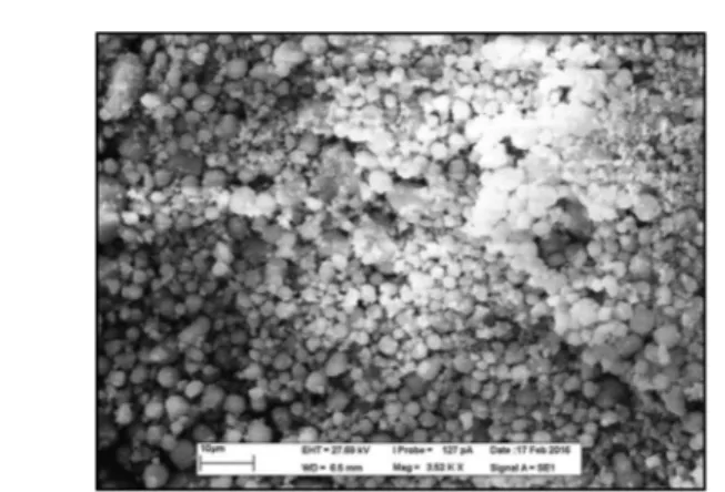 Fig. 1 SEM micrograph of CaCO 3 nanoparticles prepared in the present study.