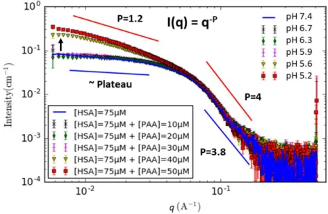Figure 2. Scattering intensities of HSA-PAA mixture and pH evolution for [HSA]=75 µM as a function of PAA concentration  ([PAA]=0 to 50 µM)