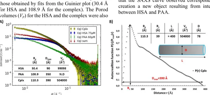Figure 3. A)  Scattering intensities of [HSA]=75 µM (blue curve), [PAA]= 60 µM (green curve), the mixture of HSA and PAA at  same concentrations (yellow curve) and the sum of both contributions without interaction (red curve)