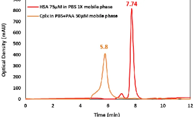 Figure 4. Comparison of chromatographic profiles for HSA  75 µM in PBS 1X mobile phase (red peak) and for (75 µM-50  µM) HSA-PAA mixture in PBS+50 µM PAA solution mobile 