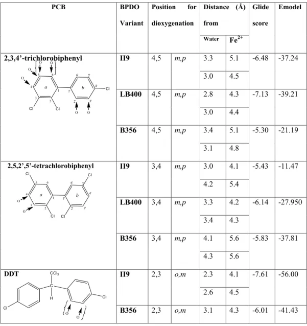 Table 2: Table showing the probable sites for dioxygenation, the distances from those carbons to 
