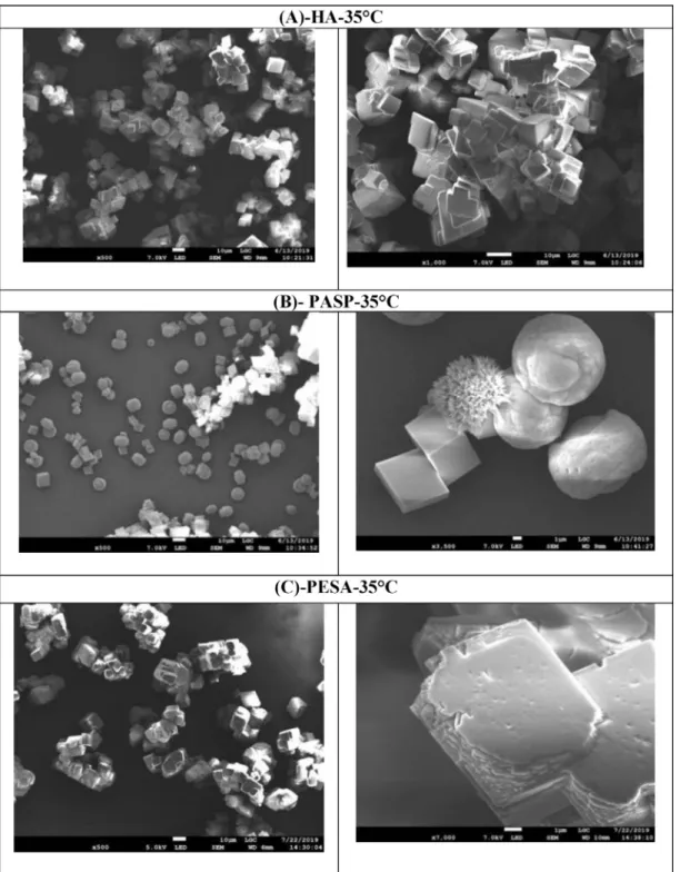 Fig.  4. SEM pictures of grown calcium carbonate seeds with additives: (A) HA; (B) PASP; (C) PESA, at 35 °C and 7.6 supersaturation ratio.