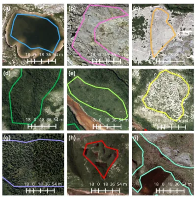 Figure 2. Aerial photographs acquired in the summer of 2010 of some of the training areas for the nine land cover classes: (a) water; (b) rock/rubble; (c) exposed land; (d) shrub-tall; (e) shrub-low; (f) sparse shrubs; (g) coniferous-sparse; (h) wetland-sh