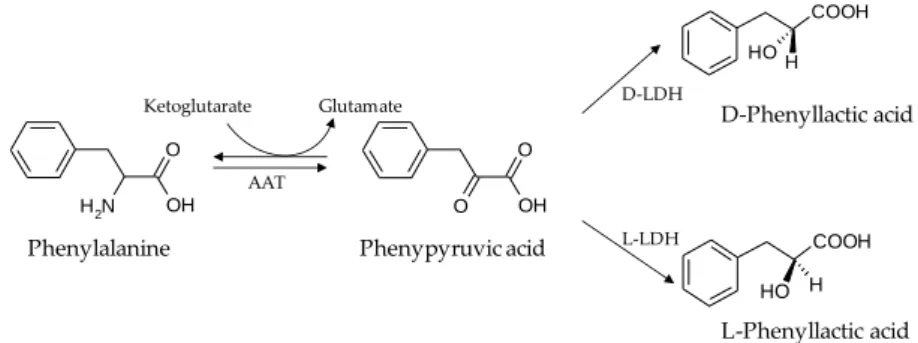 Figure  9.  Hypothetical  phenyllactic  acid  biosynthesis  pathway.  Adapted  from  Chaudhari  and  Gokhale (2016) [47]