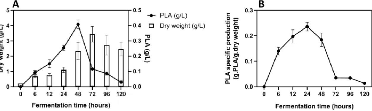 Figure 3. PLA concentration (g/L) and G. candidum biomass (g/L) in Ym medium (Panel A) and PLA  specific production (g PLA/g dry weight) in Ym medium (Panel B)