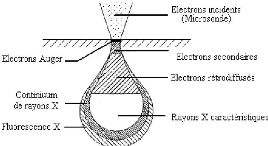 Figure III-4 : Distribution en énergie des électrons secondaires et rétrodiffusés  