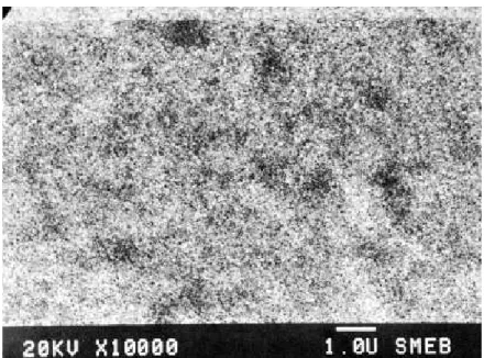 Figure IV-6:  Aspect de la surface d’une couche mince non recuite.            On y distingue des grains de très petite taille