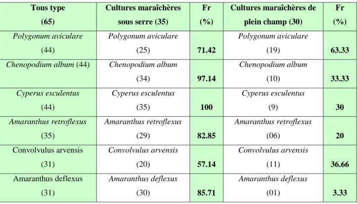 Tableau  N°2.  Les  dix-huit  espèces  les  plus  fréquemment  relevées  avec  les  deux  types  de  cultures  maraîchères pratiquées dans la région