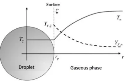 Figure 3.8: Radial profile of temperature T and fuel mass fraction Y F around a droplet.