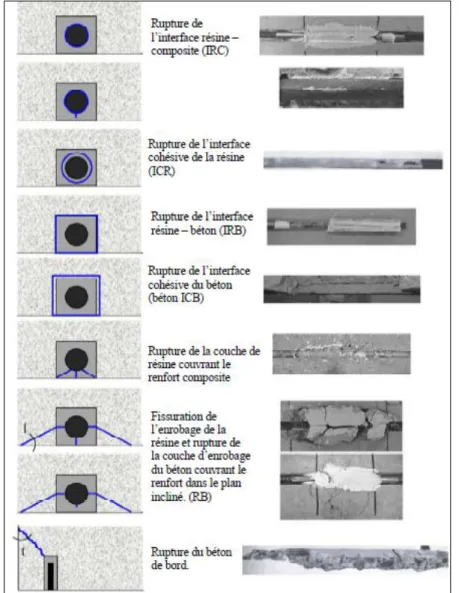 Figure I. 18: Les modes de rupture constatée dans les essais  d'arrachement [50]. 