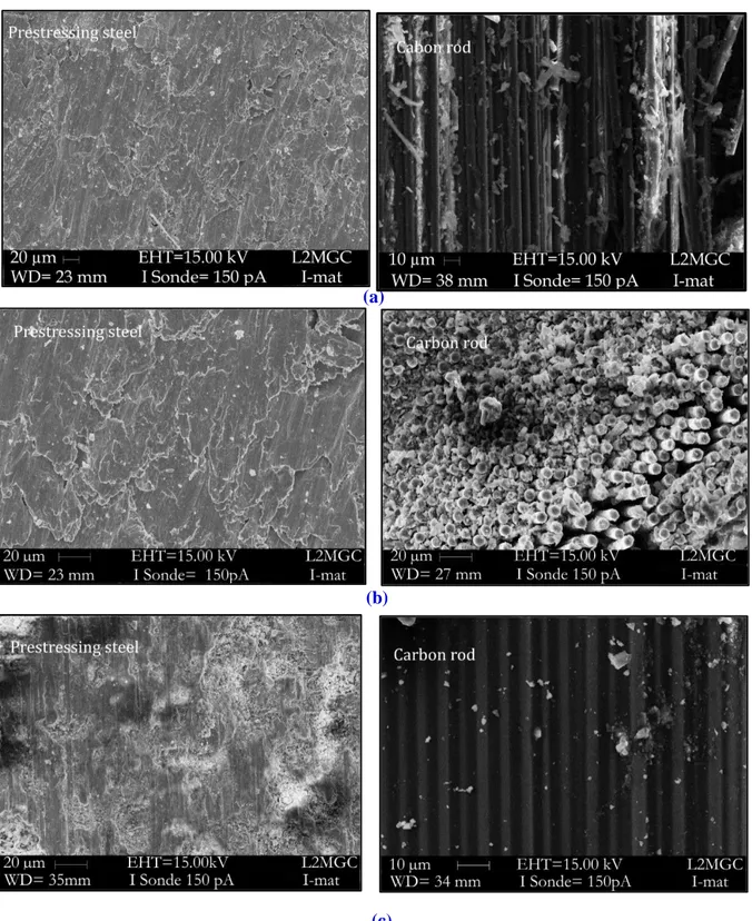 Figure II. 3: Observations au microscope électronique à balayage des barres en PRFC  et acier de précontrainte, (a) section longitudinale des renforts, (b) section 