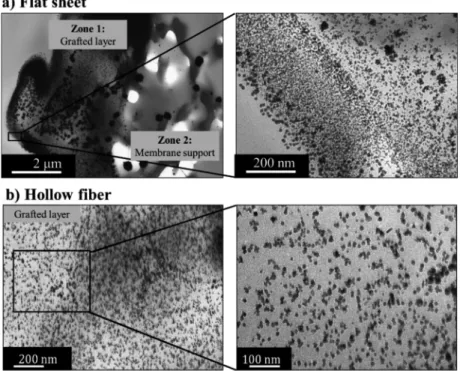 Fig. 3. TEM micrographs of PdNP in the grafted PAA layer on a) Flat sheet membrane and b) hollow fiber.