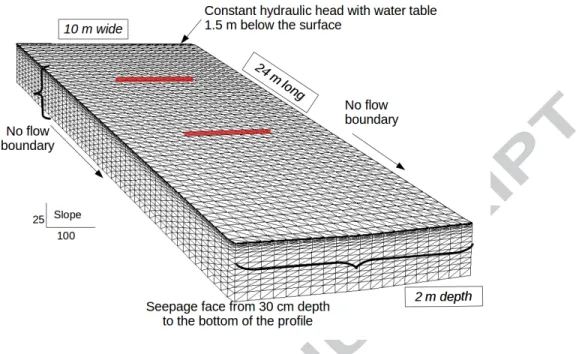 Figure 5: 3D mesh of the simulated area with applied boundary conditions for the CATHY model (mesh: 50 cm * 50 cm and 15 soil layers)
