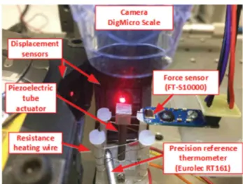 FIGURE 4 The use of piezoelectric tube actuator to manipulate a micro-object [Colour figure can be viewed at