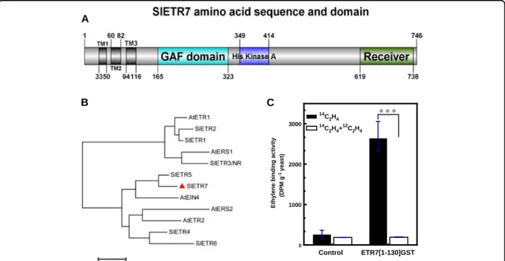 Fig. 2 Tomato contains a seventh ethylene receptor. a Schematic structure of SlETR7 protein