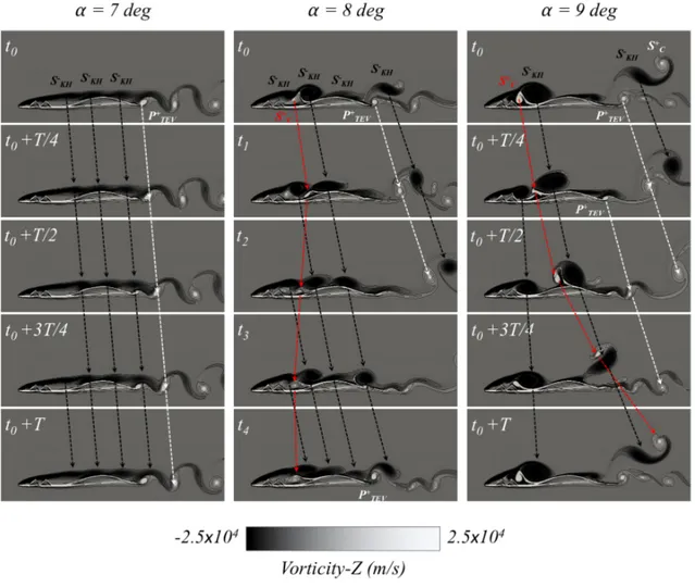 FIG. 4. Five instantaneous vorticity fields and contours for the three angles of attack obtained by CharlesX: α = 7 ◦ (linear), 8 ◦ (chaotic), and 9 ◦ (non linear)