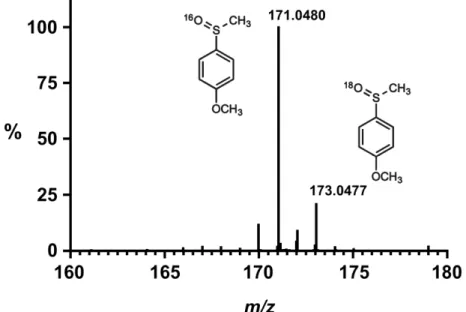 Figure  3.  High‐resolution  Electron  Spray  Ionisation‐Mass  (ESI‐MS)  spectrum  of  the  p‐methoxy‐