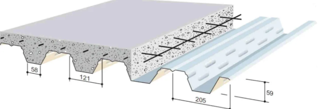 Fig. 2. Schematic representation of a Haircol  R