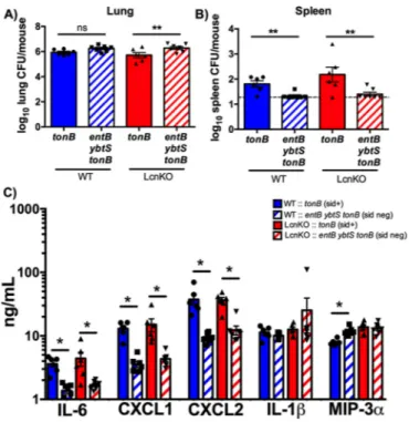 FIG 3 Siderophore secretion by K. pneumoniae results in bacterial dissemi-