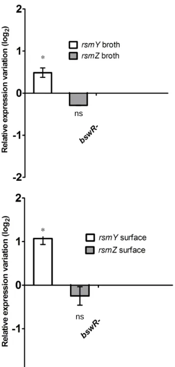 Figure S9: qRT- PCR on the ΔbswR mutant grown in M9DCAA broth and swarming conditions