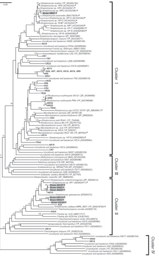 Fig. 2. Neighbour-joining tree based on deduced amino acid sequences from partial hhyL gene sequences retrieved from seven isolates