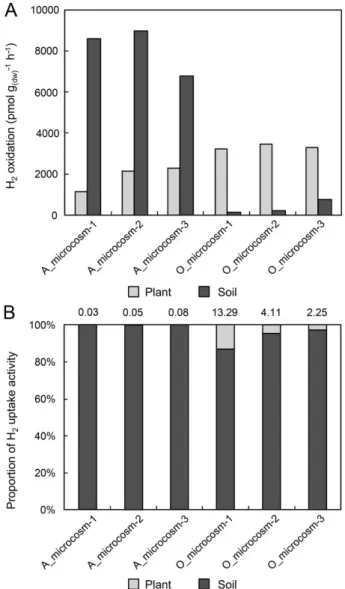 Fig. 4. Fractionation of the H 2 oxidation activity measured in