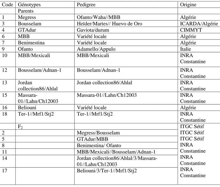 Tableau II.1. Listes des génotypes de blé dur retenus pour ce travail au cours de la campagne 