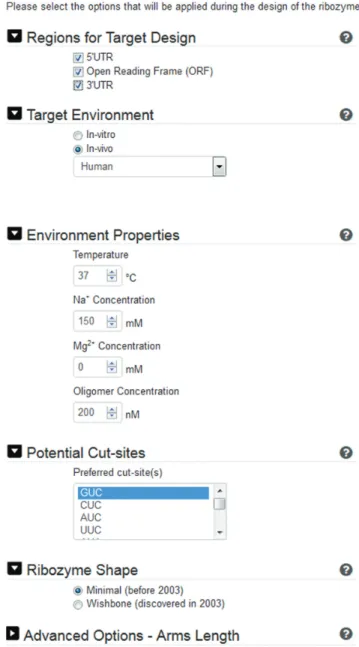 Figure 3. Partial snapshot of the input screen (step 2) for RiboSoft: allow- allow-ing for user specification of various parameters.